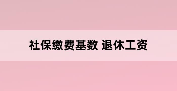 社保缴费基数 退休金